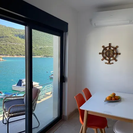 Seasight * Neum